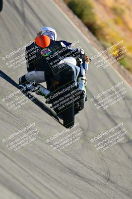 media/Oct-24-2025-2WTD (Fri) [[491f36c2bf]]/C Group/Session 3 (Turn 5)/